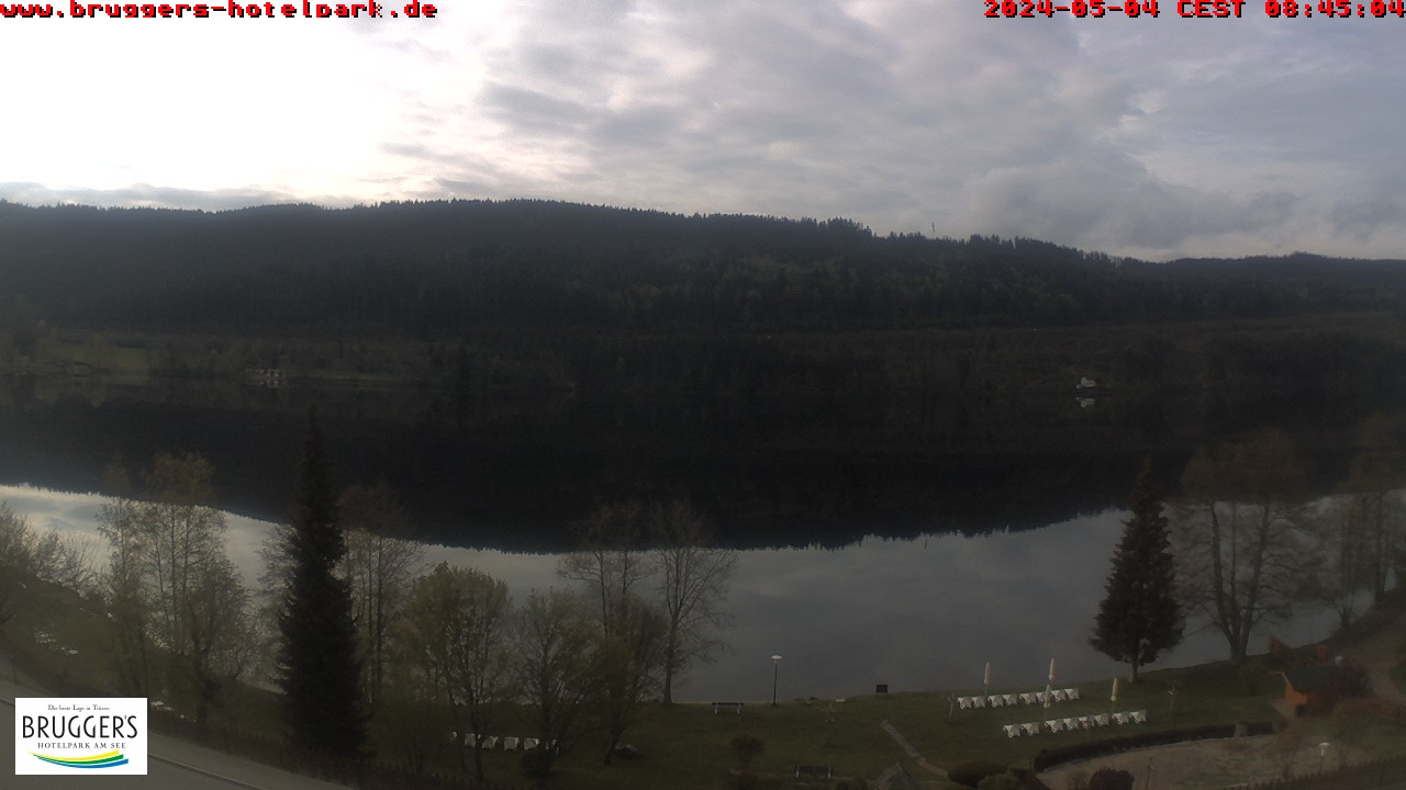 Webcam Titisee